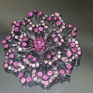 It’s an antique black metal brooch with light pink and dark pink stones in it